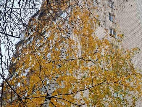 квартира за адресою Білоруська вул., 28-А