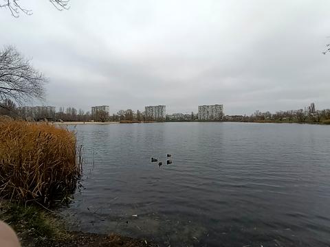 квартира по адресу Юрия Шумского ул., 3-Г