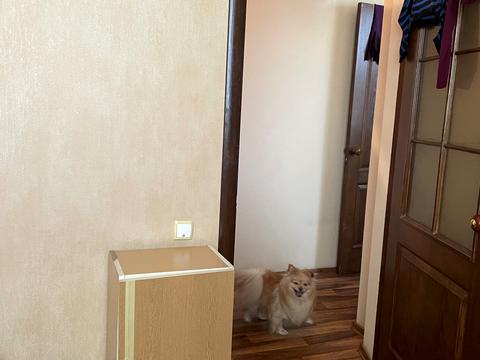 квартира по адресу Береговая ул., 194