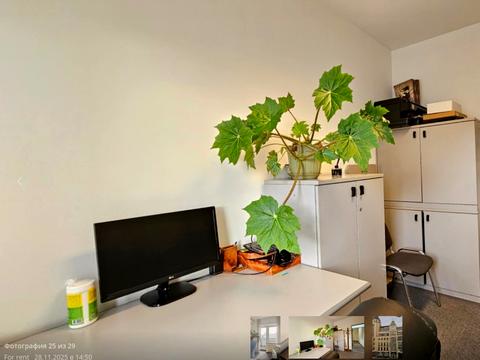 комерційна за адресою Велика Васильківська вул. (Червоноармійська), 9-2