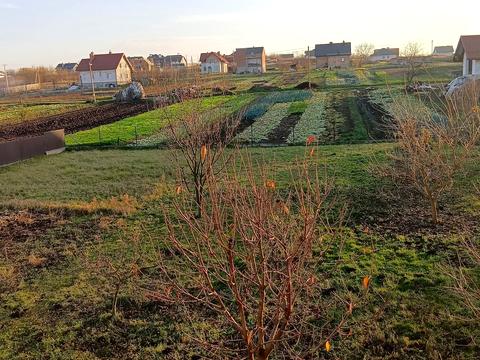 дом по адресу Центральна, 97