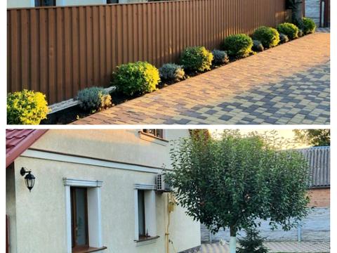 дом по адресу Василя Сильвестрова ул. (Серафимовича)