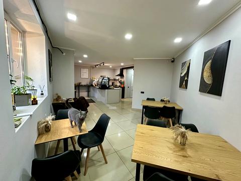 комерційна за адресою Богдана Хмельницького вул., 4 а