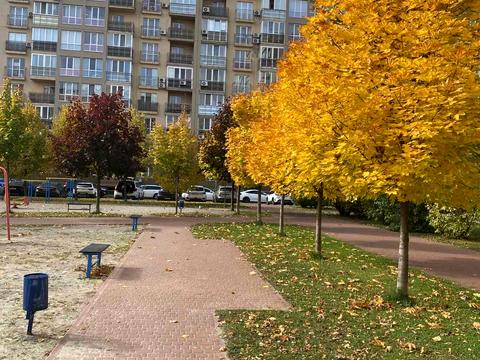 квартира за адресою Метрологічна вул., 11-А