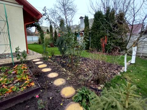 дом по адресу Василя Сильвестрова ул. (Серафимовича)