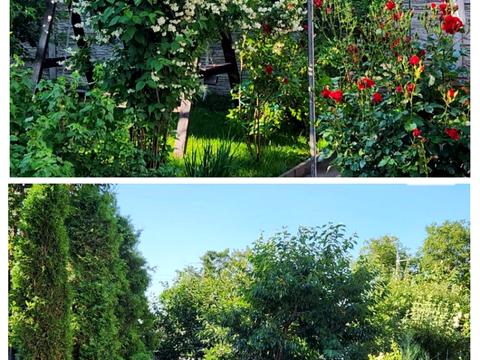 дом по адресу Василя Сильвестрова ул. (Серафимовича)