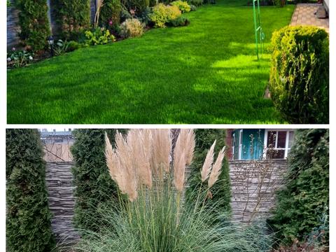 дом по адресу Василя Сильвестрова ул. (Серафимовича)