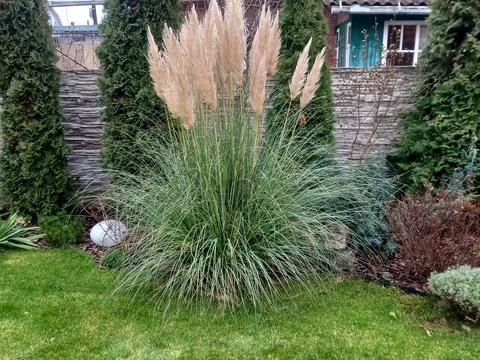 дом по адресу Василя Сильвестрова ул. (Серафимовича)