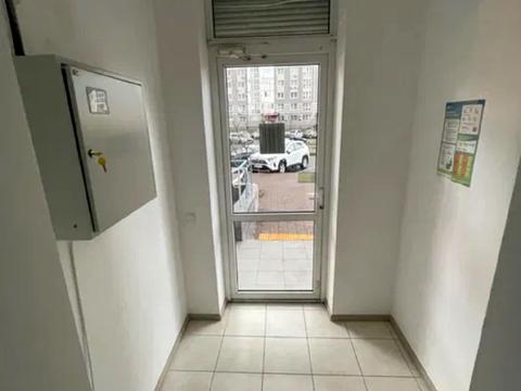 комерційна за адресою Єлизавети Чавдар вул., 24