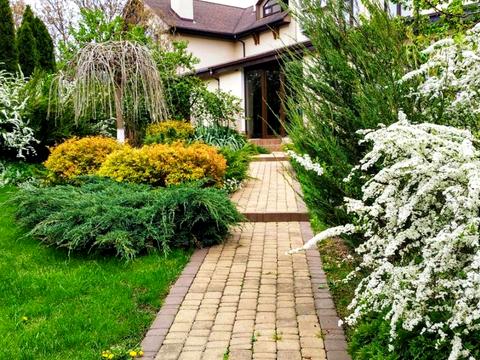 будинок за адресою Васильківський