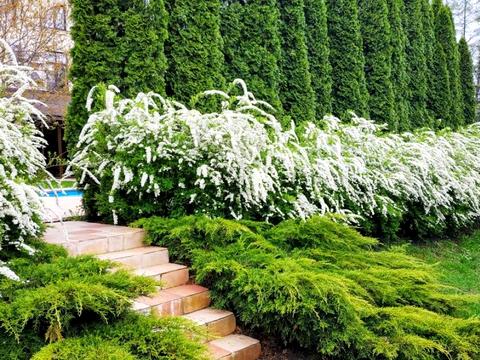 будинок за адресою Васильківський