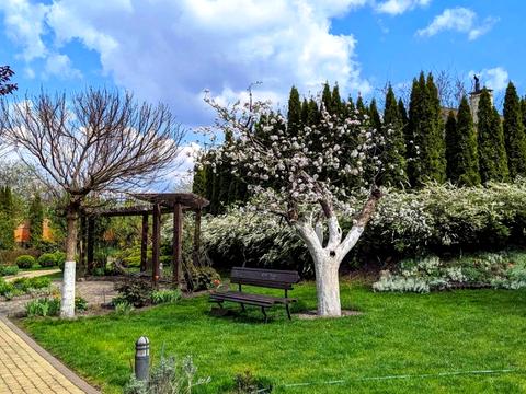 будинок за адресою Васильківський