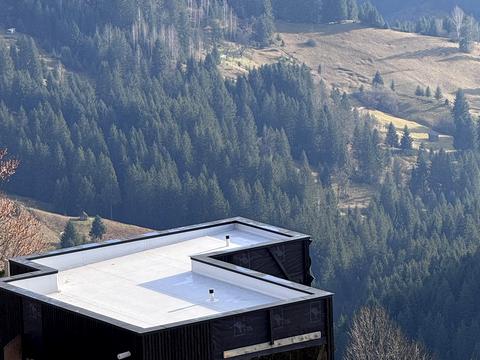 будинок за адресою Поповича вул.