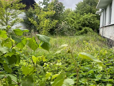 ділянка за адресою Варшавська вул.