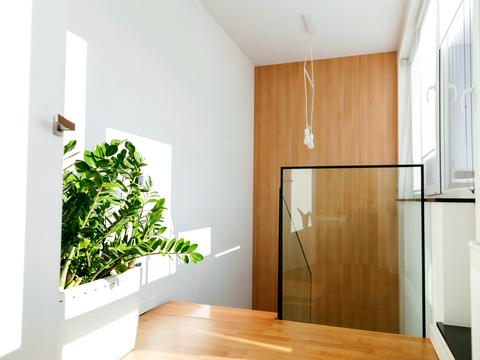 квартира по адресу Яцкова ул. (Егорова), 13