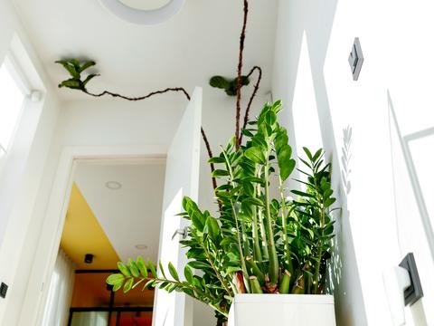 квартира по адресу Яцкова ул. (Егорова), 13