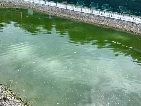 комерційна за адресою Шевченка, 54А