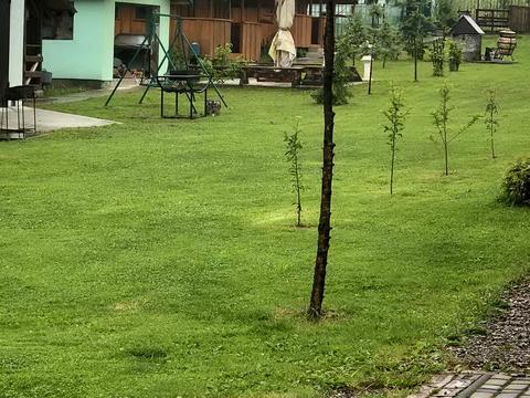 комерційна за адресою Шевченка, 54А