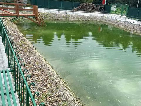 комерційна за адресою Шевченка, 54А