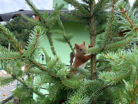 комерційна за адресою Шевченка, 54А