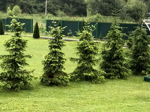 комерційна за адресою Шевченка, 54А