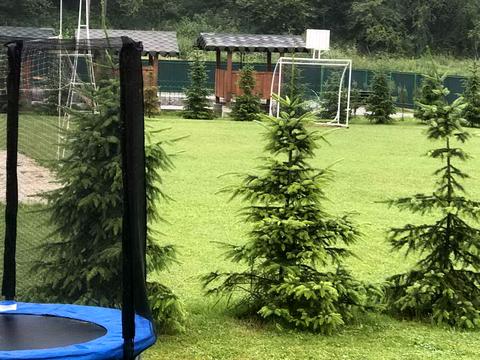 комерційна за адресою Шевченка, 54А