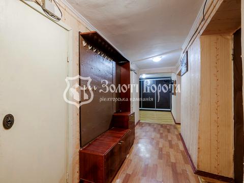 комерційна за адресою Круглоуніверситетська вул., 18/2