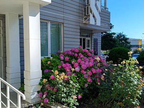 квартира за адресою Люстдорфська дорога вул., 55 будинок 2