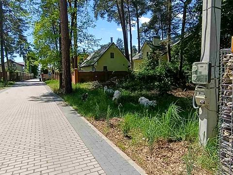 участок по адресу Ряснянская ул., 18