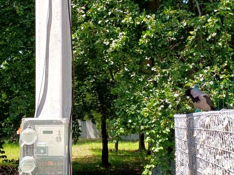 участок по адресу Ряснянская ул., 18