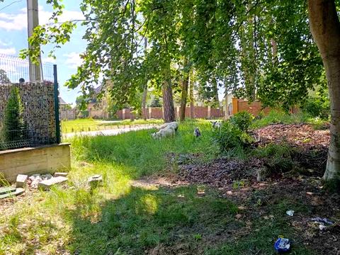 участок по адресу Ряснянская ул., 18