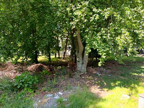 участок по адресу Ряснянская ул., 18