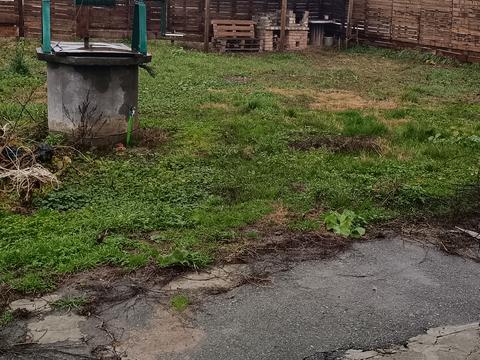 дом по адресу Соборна