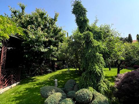 будинок за адресою Соляна вул., 24