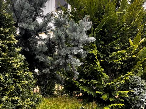 дом по адресу провулок костя широцького, 1