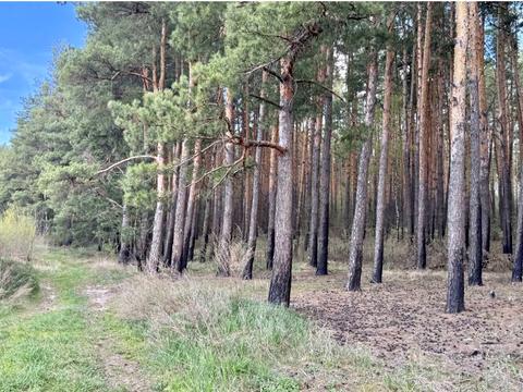 ділянка за адресою 