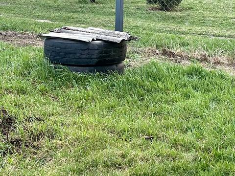 дом по адресу стуса, 12