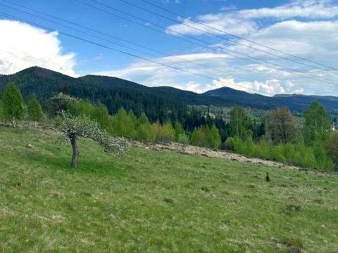 участок по адресу Грушевского ул.