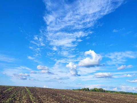 ділянка за адресою с. Глуховичі, 