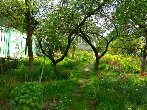 будинок за адресою с. Мацошин, центральна, 41