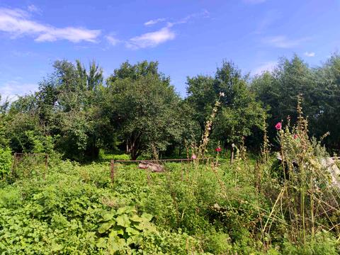 дом по адресу Покровська, 20