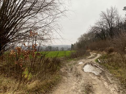 участок по адресу 