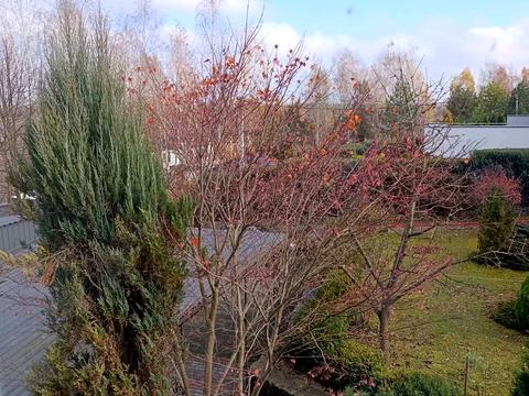 дом по адресу Озера, 4