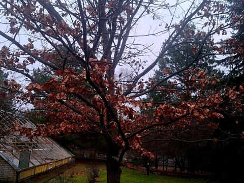 дом по адресу Київська, 15