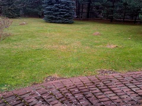 дом по адресу Київська, 15