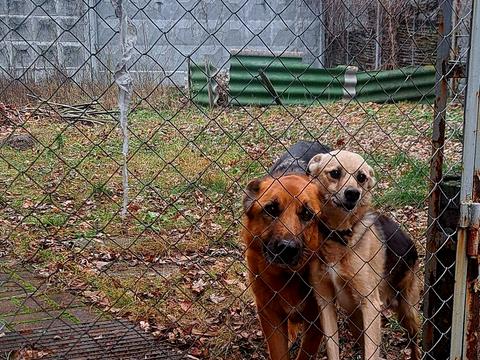 дом по адресу Київська, 15