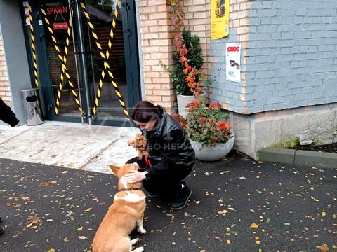 комерційна за адресою Кирилівська вул. (Фрунзе), 34-38