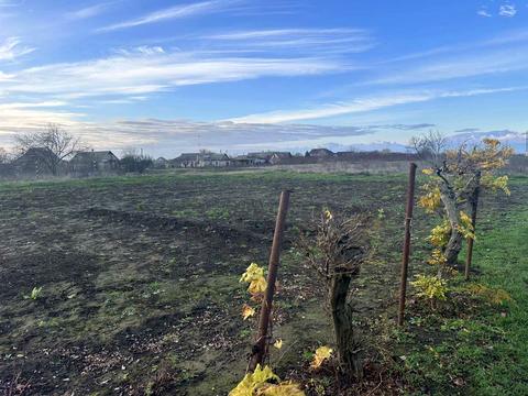 будинок за адресою с. Роксолани, степанова