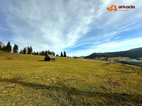 участок по адресу с. Поляница, 