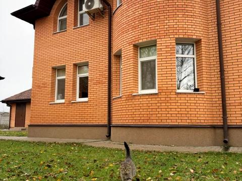 будинок за адресою Радіщева пров.